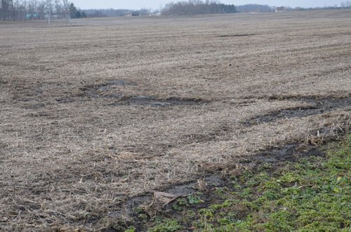 Property photo 48 - 98+/- Acres Offered in 6 Tracts or Combinations, Noble County, Indiana Farm